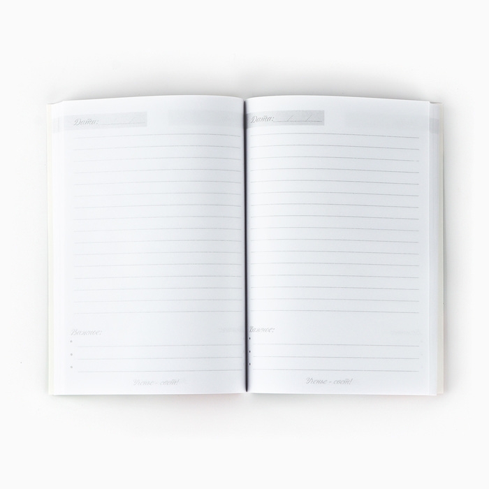 Подарочный набор ежедневник и мыльные лепестки &laquo;Учителю: Золотой учитель&raquo;