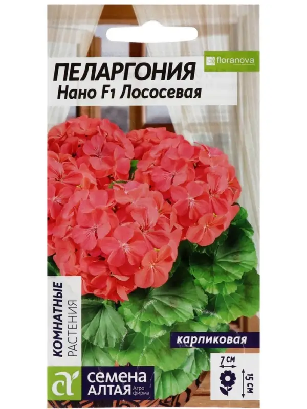 Семена цветов Пеларгония "Нано", ц/п,  "Лососевая", ц/п,  3 шт