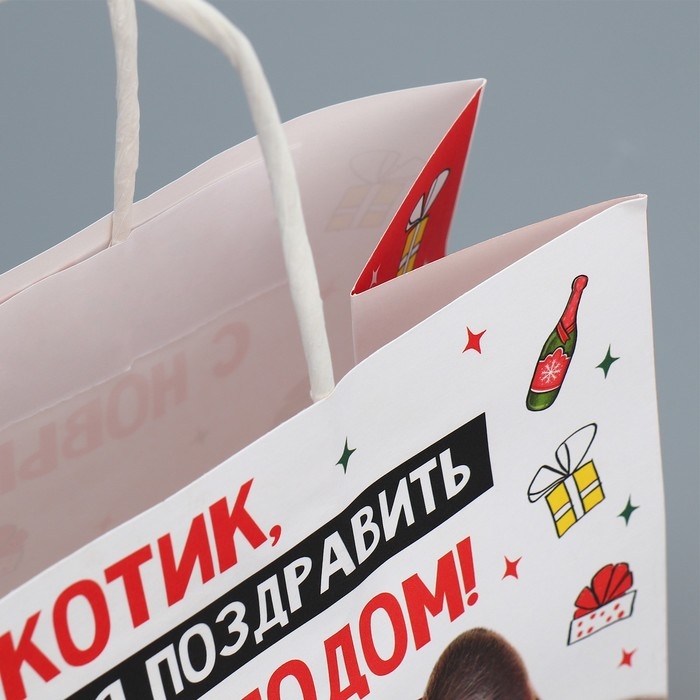 Пакет подарочный новогодний крафтовый &laquo;Котик&raquo;, 22 х 22 х 11 см, Новый год