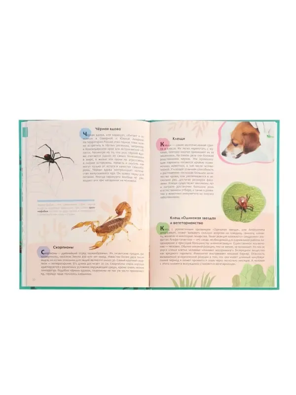 Ээнциклопедия "Животные"