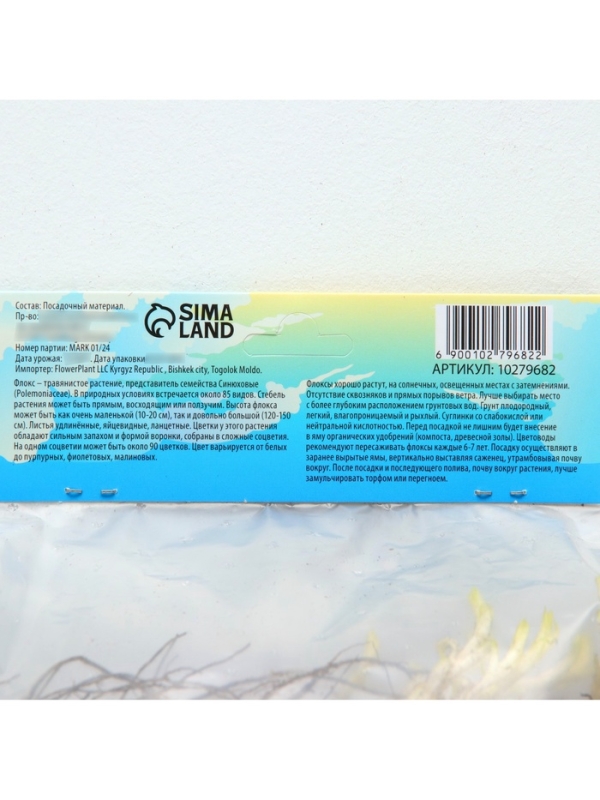 Флокс &laquo;Бамбини Кэнди Краш&raquo; ркорневище в пакете с торфогрунтом, -р I, 2 шт.