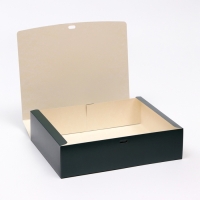 Коробка складная &laquo;Зелёная&raquo;, 31 х 24,5 х 9 см