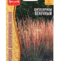 Семена цветов Шизахириум Венечный 20 шт.  12.29 г.