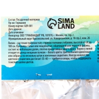 Лилия Восточная Gomera, луковица в пакете с перфорацией, р-р 14/16, 3 шт.