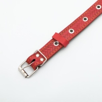 Ошейник комбинированный кожа/брезент, безразмерный, 56 х 2,5 см, ОШ 25-51 см, красный Ошейник комбинированный кожа/брезент, безразмерный, 56 х 2,5 см, ОШ 25-51 см, красный