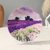 Тарелка декоративная &laquo;Лавандовое поле&raquo;, с рисунком на холсте, D = 19,5 см