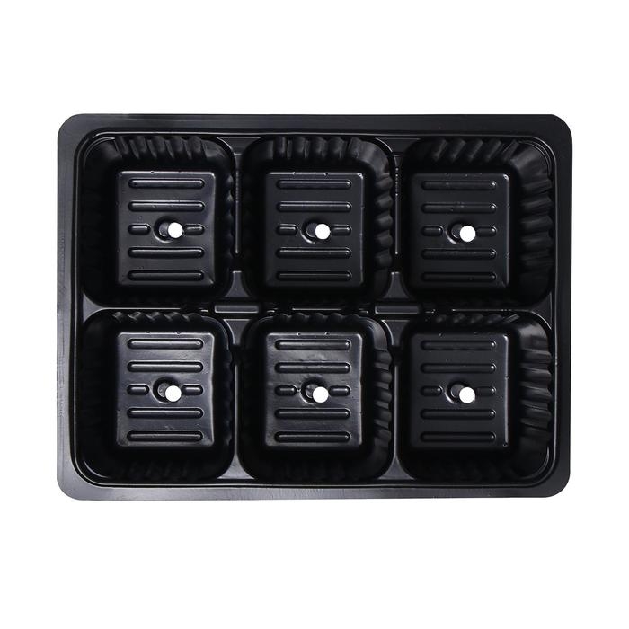 Кассета для рассады, на 6 ячеек, по 120 мл, пластиковая, чёрная, 18 &times; 13 &times; 6 см, в наборе 10 шт., Greengo