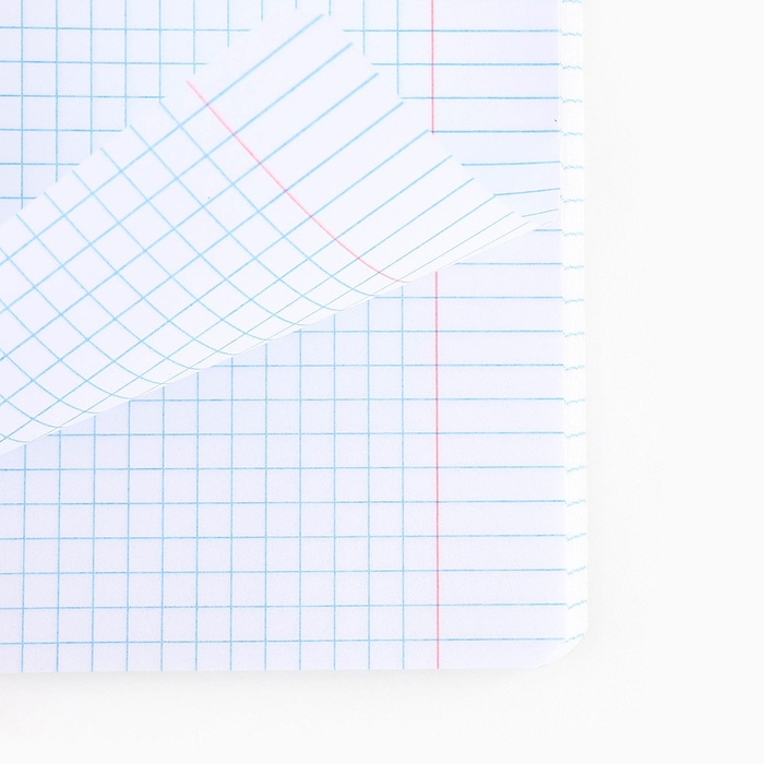 Тетрадь в клетку, 48 листов А5 на скрепке , внутренний блок №1 МИКС &laquo;1 сентября: Истинная любовь&raquo; ВД лак