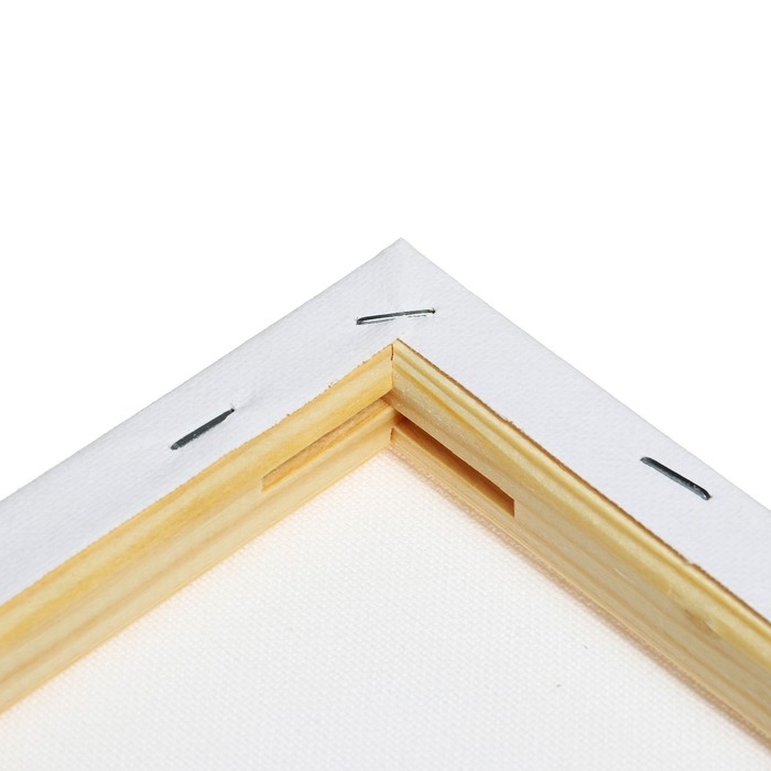 Холст на подрамнике 1,6х20х30 см, Calligrata, хлопок 100%, акриловый грунт, мелкозернистый 280г/м&sup2;