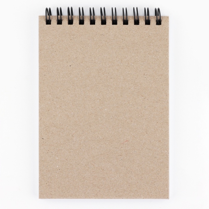 Скетчбук А6, 40 л. 100 г/м &laquo;Аниме комикс&raquo;