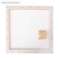 Холст на подрамнике, хлопок 100%, 30 х 30 х 1.8 см, акриловый грунт, мелкозернистый, 280 г/м&sup2;