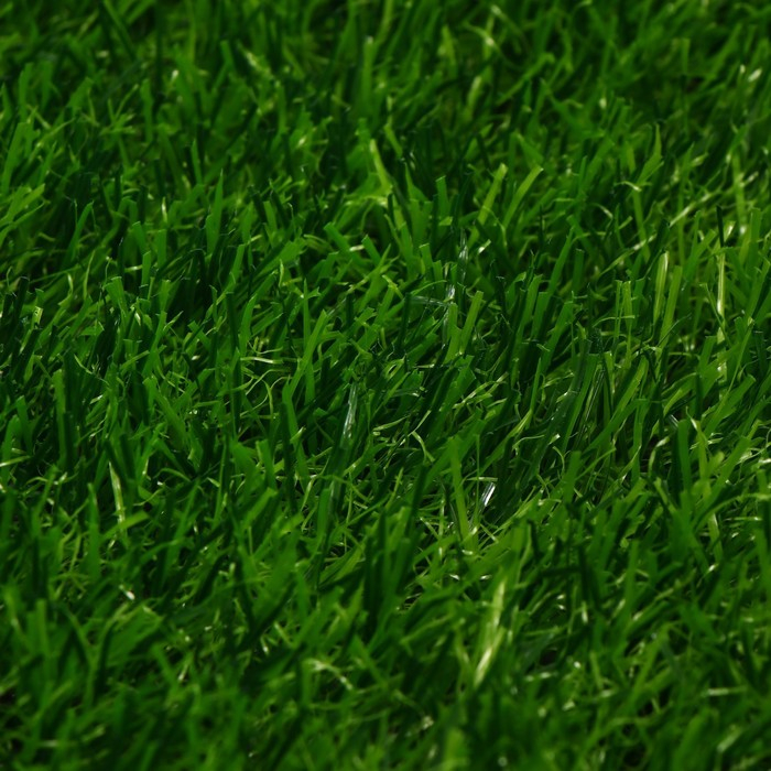 Газон искусственный, ворс 30 мм, 2 &times; 5 м, трёхцветный, тёмно-зелёный, Greengo