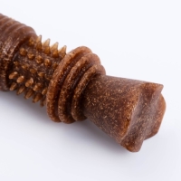 Игрушка для собак "Шипастая кость", TPR+Бамбук, массажная,14 х 3,5 х 5 Игрушка для собак "Шипастая кость", TPR+Бамбук, массажная,14 х 3,5 х 5