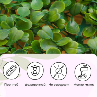 Декоративная панель, 60 &times; 40 см, &laquo;Мокрица&raquo;, Greengo