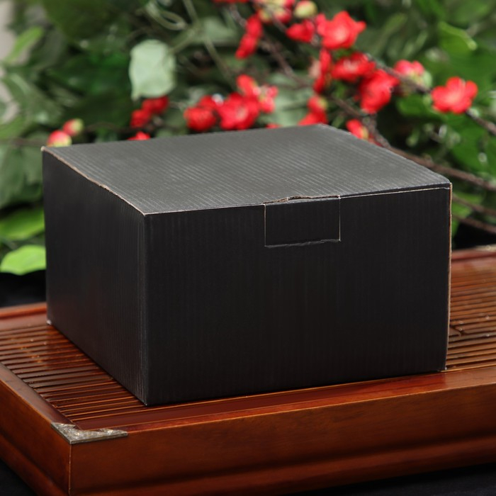 Чайник для плиты Доляна &laquo;Чёрный тигр&raquo;, 700 мл, с ситом, чугун, эмалированное покрытие внутри, индукция, цвет чёрный