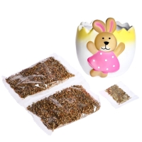 Набор для опытов &laquo;Выращиваем травку&raquo;, зайка