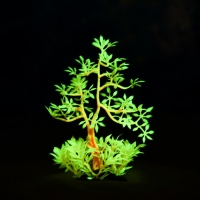 Растение искусственное аквариумное, светящееся, 10 см, красное Растение искусственное аквариумное, светящееся, 10 см, красное