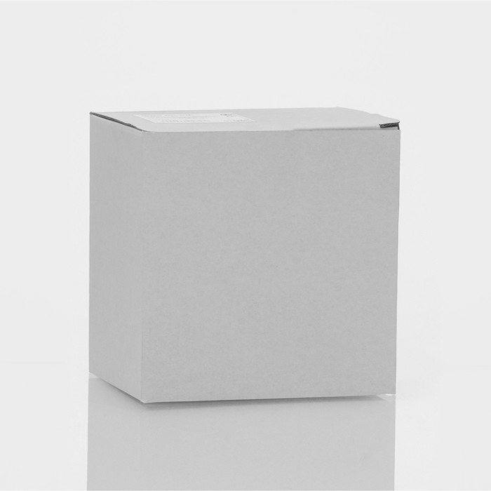 Кружка стеклянная с двойными стенками &laquo;Панда&raquo;, 300 мл