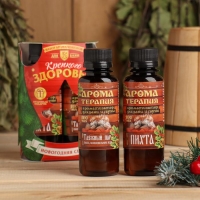 Набор ароматизаторов 2 шт по 100 мл "Крепкого здоровья", пихта, можжевельник, кедр Набор ароматизаторов 2 шт по 100 мл "Крепкого здоровья", пихта, можжевельник, кедр