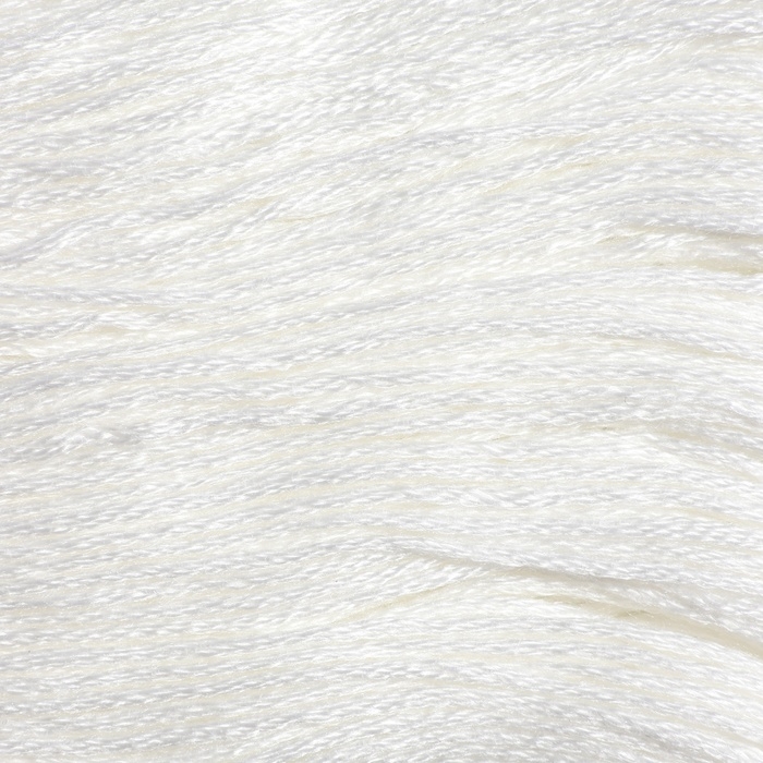 Нитки мулине &laquo;Blanc&raquo;, 8 &plusmn; 1 м, 6 шт, цвет белый