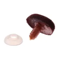 Носик винтовой с заглушкой, ворсистый, набор 2 шт., размер 1 шт.: 2.2&times;1.5 см