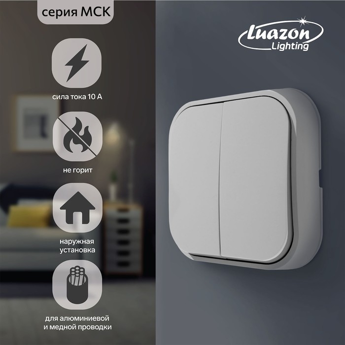 Выключатель Luazon Lighting Выключатель Luazon Lighting "МСК", 10 А, 2 клавиши, белый