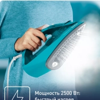 Паровой утюг Express Steam FV2867E0, с автоотключением