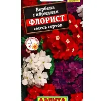 Семена цветов Вербена Флорист, смесь сортов , Ц/П,40 шт.