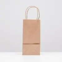 Пакет крафт без печати, круглая ручка 12&times;8&times;24 см