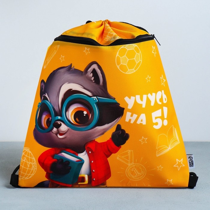 Мешок для обуви &laquo;Учусь на 5!&raquo; 2 секции, 30 х 40 см