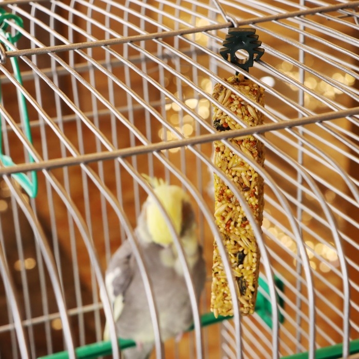 Зерновые палочки "Пижон" для птиц, с минералами, 2 шт, 90 г