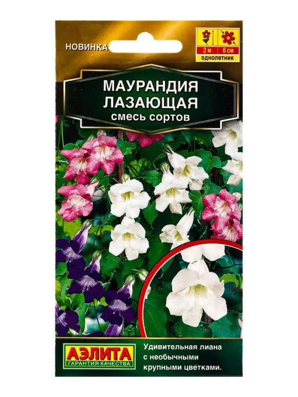 Семена цветов Маурандия лазающая, смесь сортов  Золотая серия, Ц/П,5 шт.