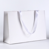 Пакет подарочный &laquo;Белый&raquo;, 28&times;20&times;10 см