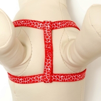 Комплект прошитый "Жираф", ширина 1 см, поводок 120 см, шлейка 23-35 см, красный Комплект прошитый "Жираф", ширина 1 см, поводок 120 см, шлейка 23-35 см, красный