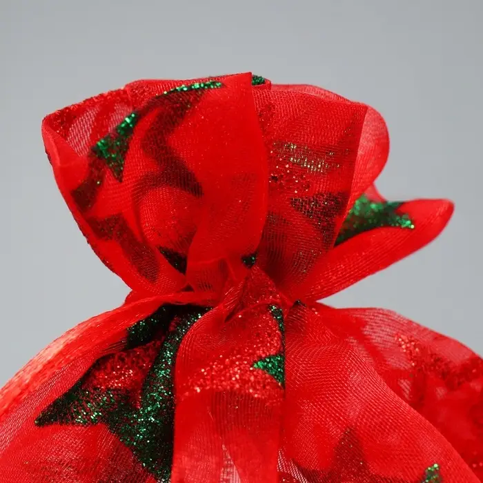 Мешочек подарочный органза &laquo;Звезда&raquo;, 16 х 24 см +/- 1.5 см