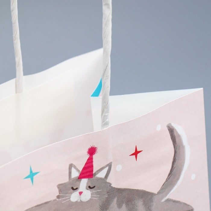 Пакет подарочный крафтовый, упаковка, &laquo;Вечеринка&raquo;, 22 х 25 х 12 см