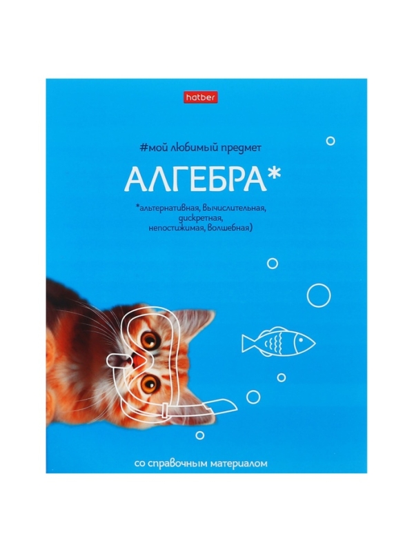Комплект предметных тетрадей 48 листов, 12 предметов Hatber &laquo;Мой любимый предмет&raquo;, обложка мелованный картон, ламинация Soft-touch, с интерактивным сп...