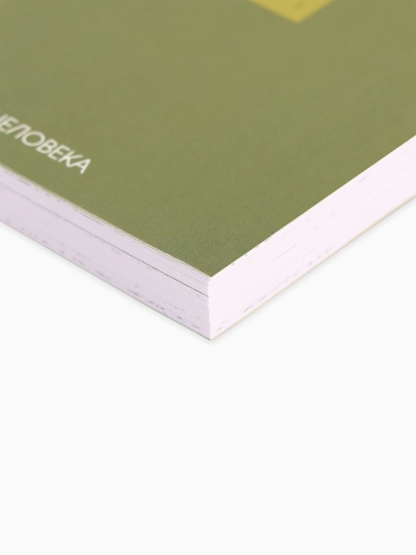 Ежедневник творческого человека с заданиями А5, 120 л. В мягкой обложке "Время мечтать"