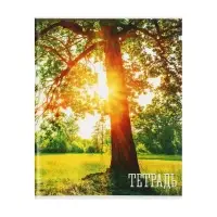 Тетрадь 48 листов в клетку, Calligrata &laquo;Времена года&raquo;, серые листы, МИКС