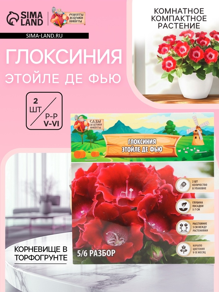 Глоксиния "Этойле де Фью", р-р 5/6, 2 шт