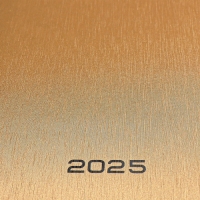 Ежедневник датированный 2024 года, А5, 176 листов, Attomex.Regent, обложка бумвинил, ляссе, блок 70 г/м2, золотой