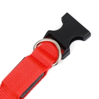 Ошейник с подсветкой Двойная полоса размер S, ОШ 35-43 х 2,5 см, 3 режима свечения красный 977224 Ошейник с подсветкой Двойная полоса размер S, ОШ 35-43 х 2,5 см, 3 режима свечения красный 977224