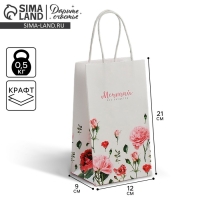 Пакет подарочный крафт, упаковка, &laquo;Мечтай!&raquo;, 12 х 21 х 9 см