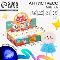 Антистресс сквиш мялка «Зайка», цвета МИКС, в шоубоксе Антистресс сквиш мялка «Зайка», цвета МИКС, в шоубоксе