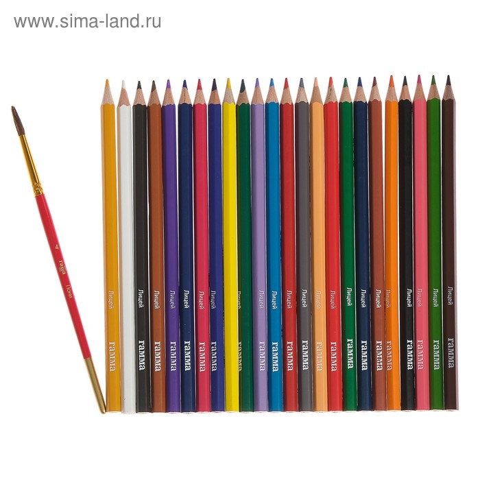 Карандаши цветные акварельные 24 цвета, "Гамма" "Лицей", с кистью, шестигранные