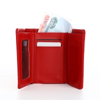 Кошелёк женский на магнитах, цвет красный