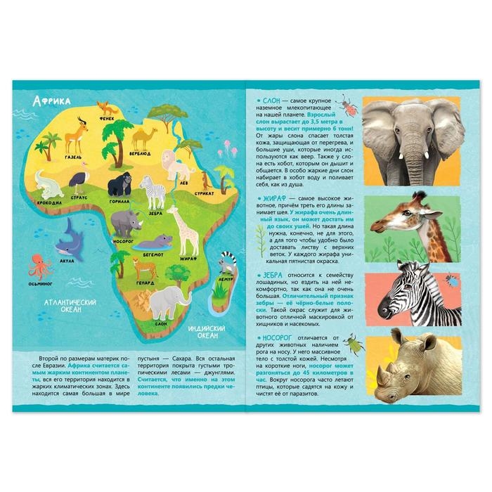 Книжка с наклейками &laquo;Животные нашей планеты&raquo;, 16 стр.