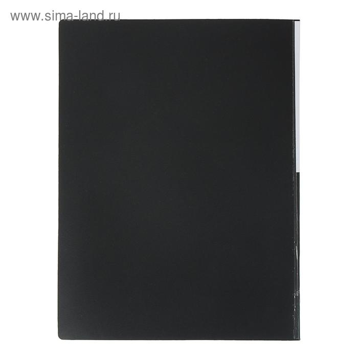 Папка с 40 вкладышами Calligrata А4, 400мкм, МИКС