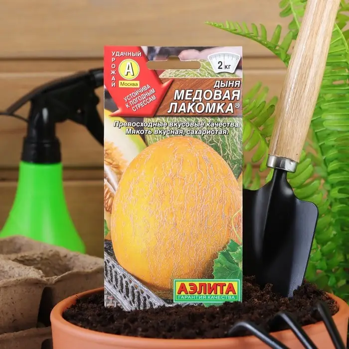 Семена Дыня "Медовая лакомка", 1 г