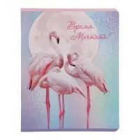 Тетрадь 48 листов в линию &laquo;Девочки&raquo;, обложка мелованный картон, блок офсет, МИКС